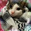 jaxxkitty1