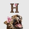 heba25803