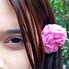 usr.mzya