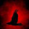 ghost.raven