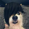princekxle_