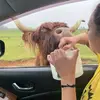 mydogbluandyou