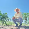 edomitasalvespinto