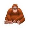 dozmong