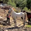 jang_bardarii03