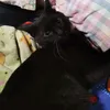 rosie_j05