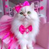 anneshirly_1
