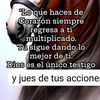 renilibre