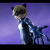 chatnoir258