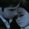 davidbasha4