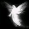 houari_of1