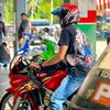 paklang_9901