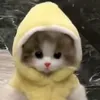 gweyoumie