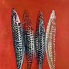 tin.of.mackerel