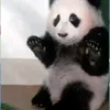 jjust_someonee
