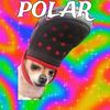polar.dirty
