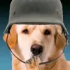 kompetof