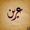 arin.m.i