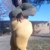 bigbee272