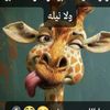 manalsalah721