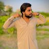 _tajamal_tiger_2929