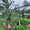 rumah.warna7