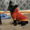 salsa_the_frenchton