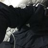 zk_star97