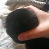 tomitomom