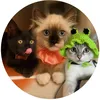 mish.luna.nala