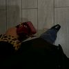 no_uur25