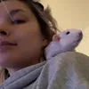 ratyo.oo