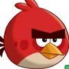 matheusorion1