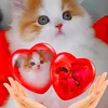 user9507814578817