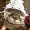 ngochong_1701