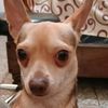 moises_caceres