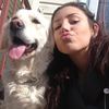 nycrowwhisperer