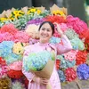 phel_thuy