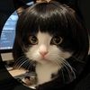 수연 すよん