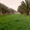 qa_s06