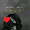 rizwansaid3974