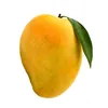 mangoshake16oz