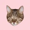 Blind Cat Dmitri