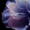 phapchon3