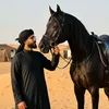 ahmad__thayr