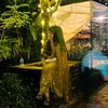 faru_03_37
