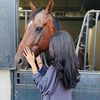 tota_919