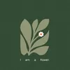 tiem_song_lanh111