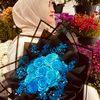 maya_binti_idris
