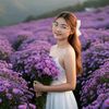 nyein200529